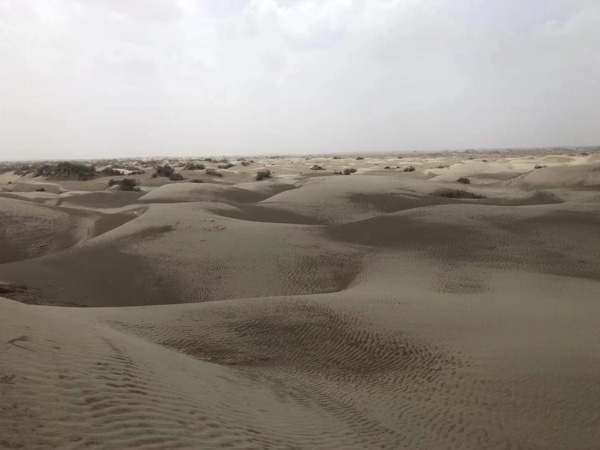 孩子遇到家庭暴力可以通過哪些方式解決？上海婚姻家庭律師為您介紹