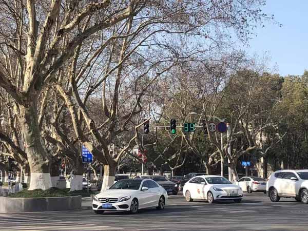 松江區(qū)律師在線教你：如何識別假藥、劣質(zhì)藥