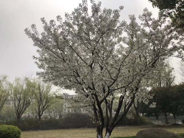 上海法律在線咨詢網(wǎng)分析證據(jù)充沛，依然打不贏官司的原因