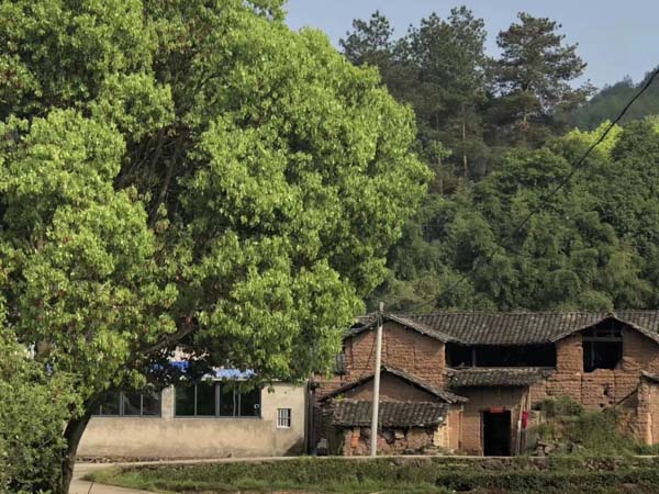 工傷賠償屬于夫妻共同財產(chǎn)嗎？上海離婚糾紛律師告訴您