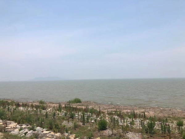 已婚配偶與他人同居是否應(yīng)該賠償對(duì)方？靜安律師告訴您