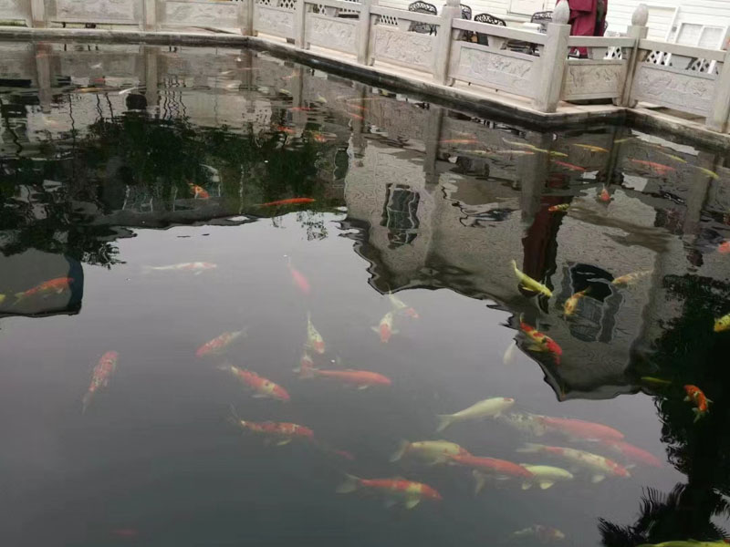 程序違法是否會影響定罪量刑？上海律師咨詢網(wǎng)帶您了解