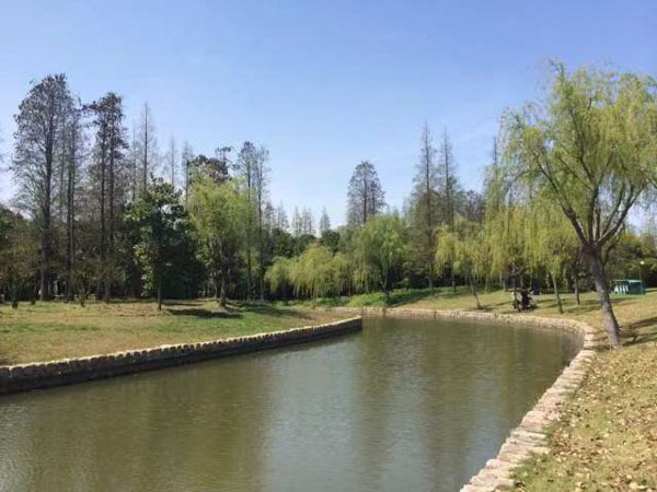 如何發(fā)揮死緩制度限制死刑的作用？上海律師為您解答