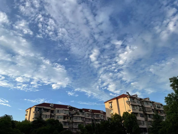 金山區(qū)律師：分公司訴訟及責(zé)任承擔(dān)是誰(shuí)呢？