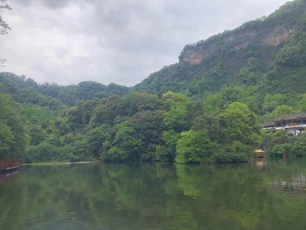 崇明區(qū)律師帶詳細了解什么是傳銷罪！