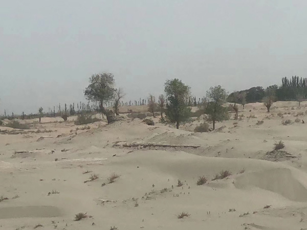 嘉定區(qū)律師:當你拒絕簽訂不到位的補償協(xié)議后，接下來可以這么做