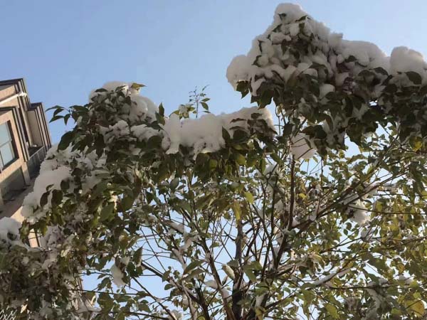 黃浦區(qū)律師提醒:在處理親子關(guān)系異議時應(yīng)注意這幾個問題