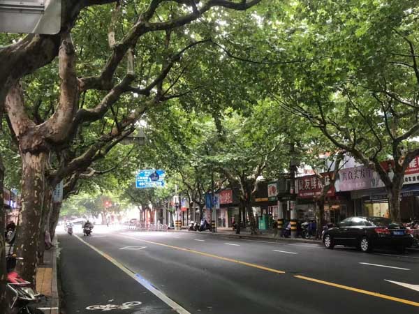 上海刑事大律師帶您了解醉駕型危險駕駛罪中自首認(rèn)定常見問題