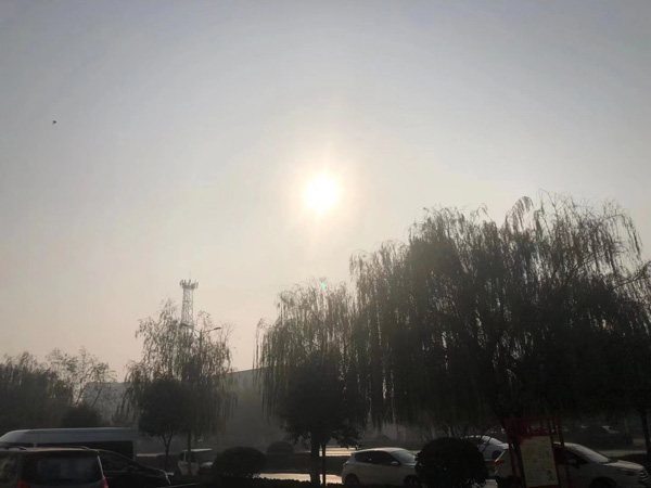 徐匯律師來講講房屋未取得建設(shè)規(guī)劃證要被拆除怎么辦