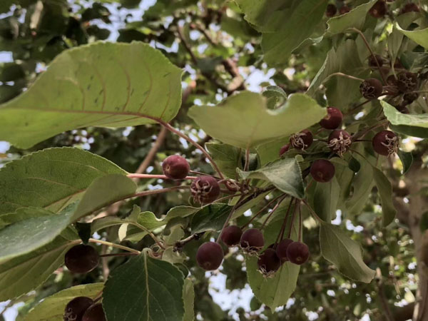 上海經(jīng)濟糾紛律師為您講解儲蓄存款合同糾紛案