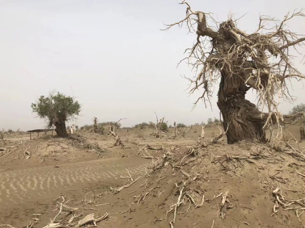 上海房產(chǎn)買賣律師在線解答法律糾紛：房改房如何繼承？