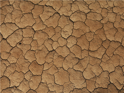 襄陽公園旁律師揭曉閑置國(guó)土真面目