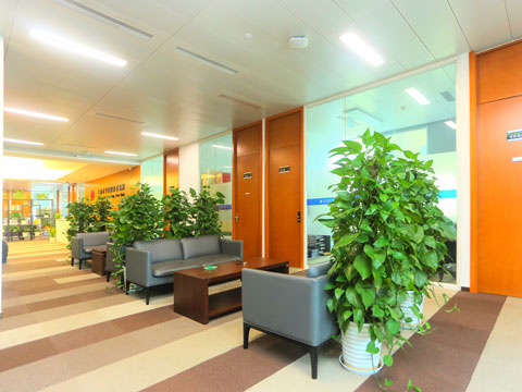 嘉定安亭律師核實(shí)被迫解除勞動合同