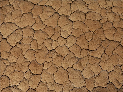 物業(yè)承擔(dān)賠償財(cái)產(chǎn)被盜責(zé)任的情況