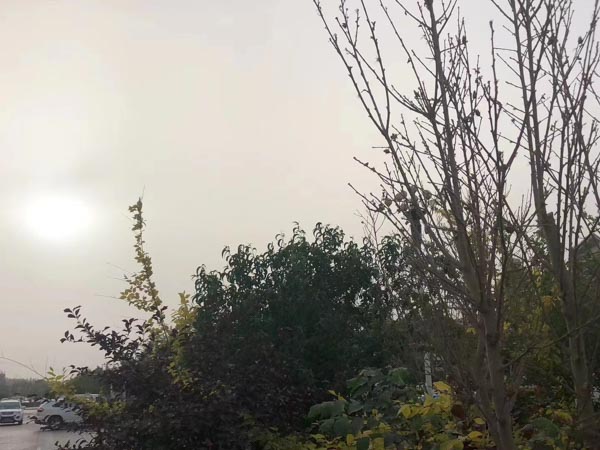 處理交通事故的時(shí)間多久？靜安律師今日為您解答