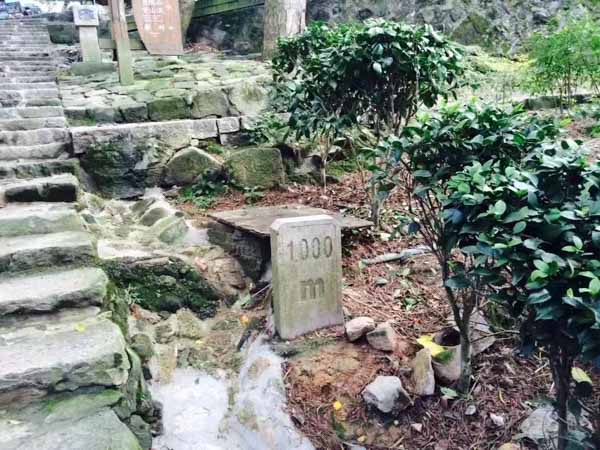 浦東律師講講交通事故義務(wù)認(rèn)定的具體程序