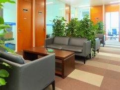 浦東?高行律師解析為被拖欠工資設(shè)立專(zhuān)用賬戶(hù)